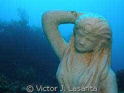 new in parguera area,PUERTO RICO,,,mermaid point is the d... by Victor J. Lasanta 